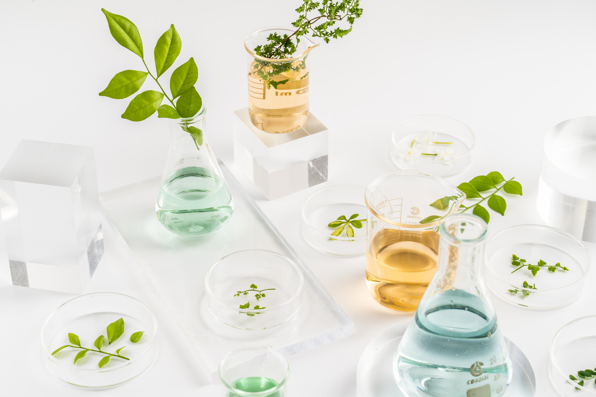 Beakers with Branches of Leaves